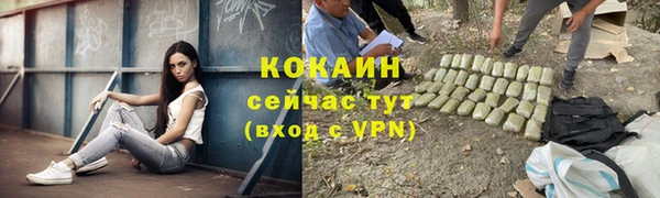 СК Протвино