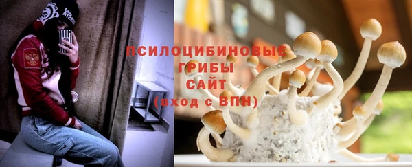твердый Алексеевка