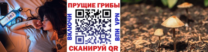 Галлюциногенные грибы мухоморы  mega ССЫЛКА  Красноуфимск 